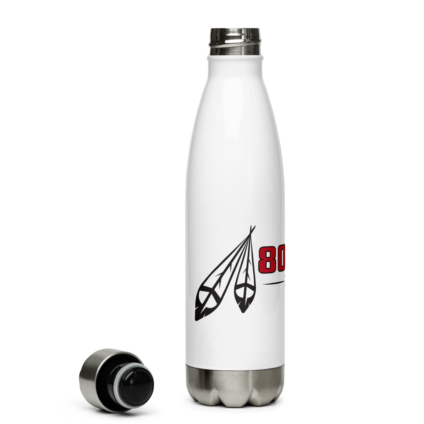 Stainless Steel Water Bottle